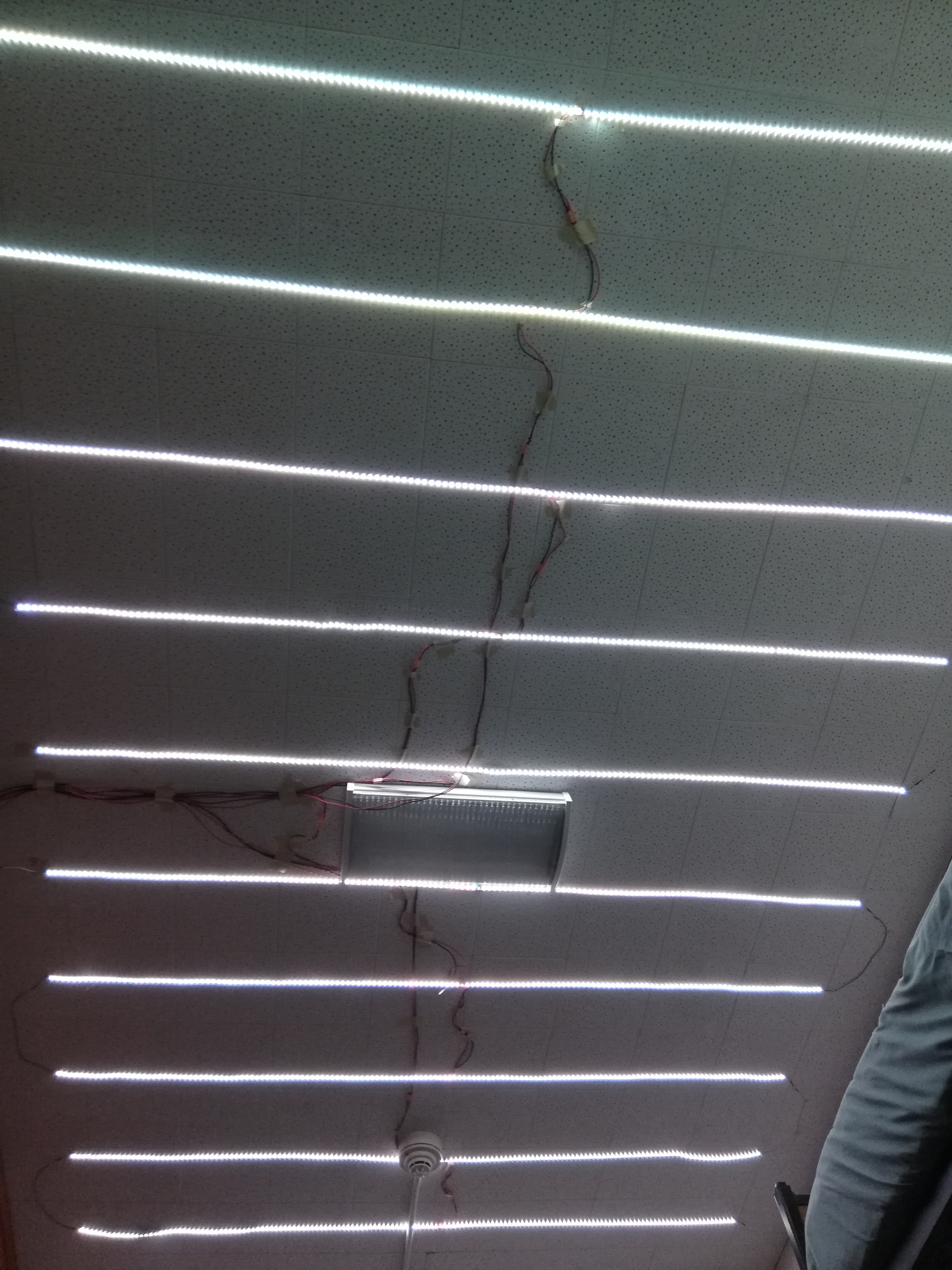 Ceiling Lights Picture